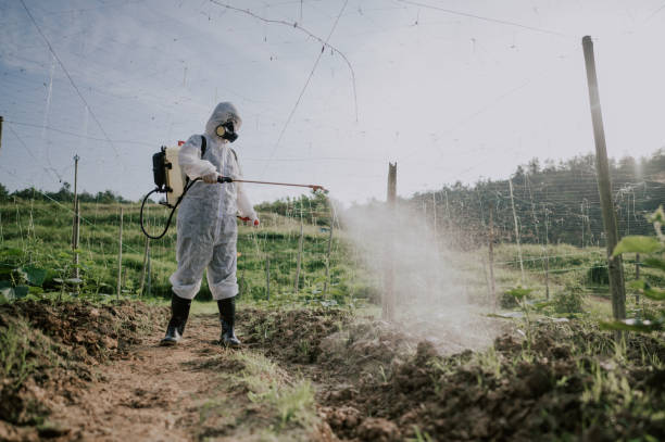 Best Best Pest Control Companies  in Sleepy Hollow, WY