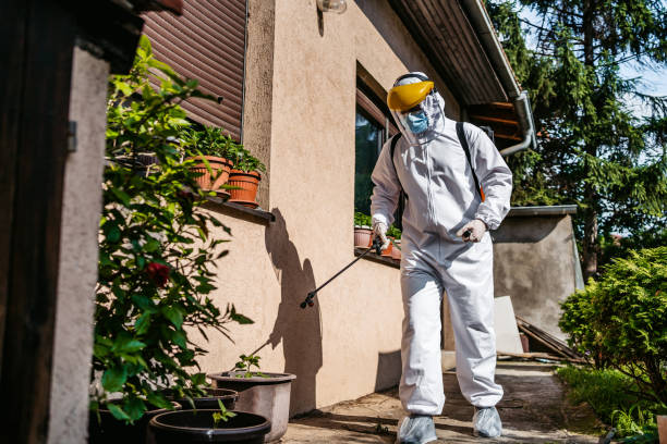 Best Residential Pest Control  in Sleepy Hollow, WY