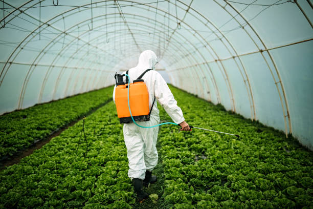 Pest Prevention Services in Sleepy Hollow, WY