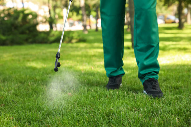 Best Flea Control Services  in Sleepy Hollow, WY