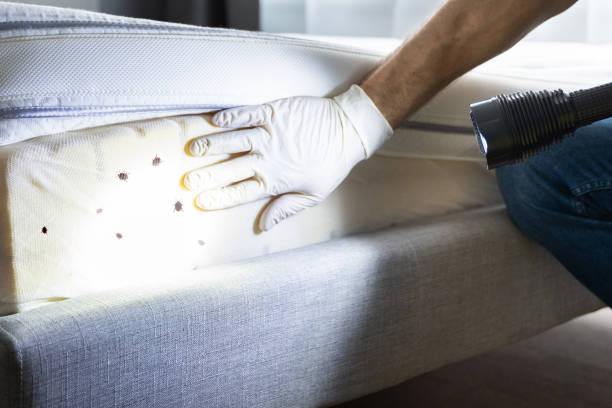 Best Affordable Pest Control Services  in Sleepy Hollow, WY