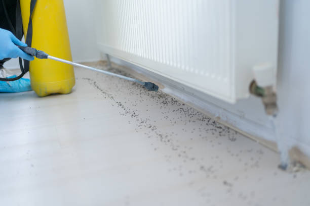 Pest Control for Restaurants in Sleepy Hollow, WY