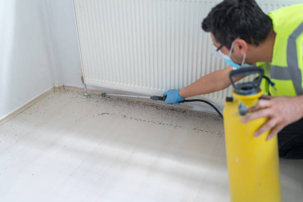 Reliable Sleepy Hollow, WY Pest Control Solutions