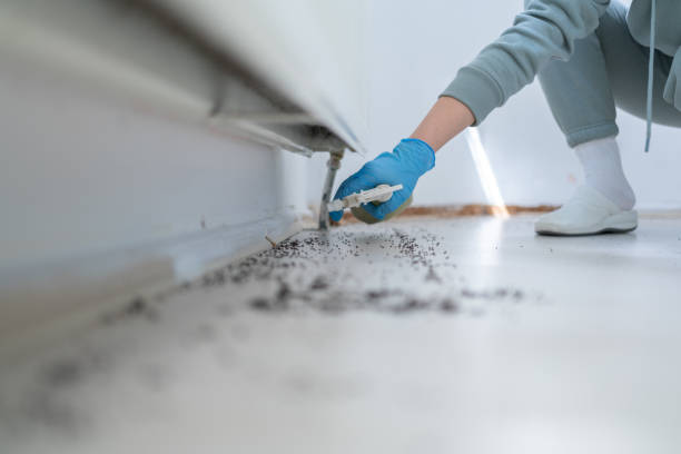 Best Bed Bug Extermination  in Sleepy Hollow, WY